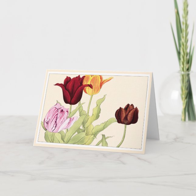 Jolie carte d'art botanique rouge orange et tulipe (Devant)