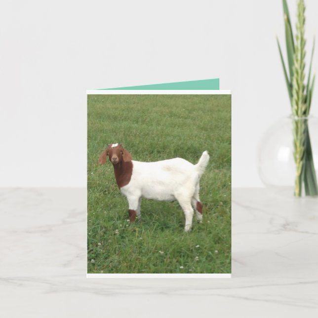 Jolie carte de billet (Devant)