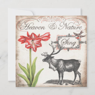 Jolie carte de Noël avec rennes, amaryllis et oise