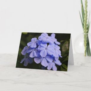 Jolie carte de note bleu Fleurs tropicales