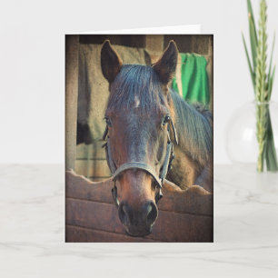 Jolie carte de voeux Cheval et Stable