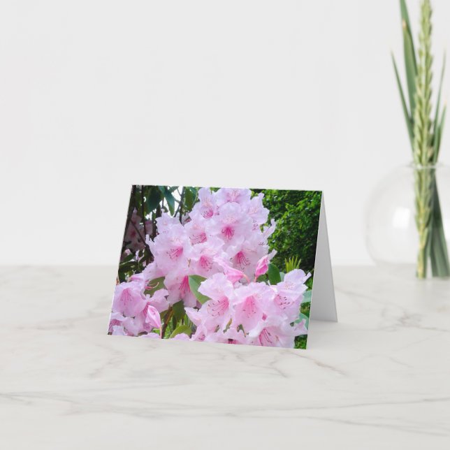 Jolie carte de voeux d'anniversaire rose (Devant)