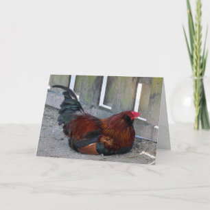 Jolie carte de voeux Rooster