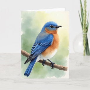 Jolie Carte Oiseau Pour Ma Femme