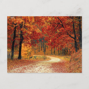 Jolie carte postale de forêt