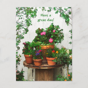 Jolie carte postale Rose