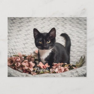 Jolie carte postale Rose Bella Merci