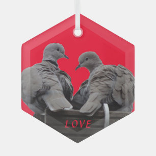 Jolie croûte de Lovebirds. Ornement en verre texte