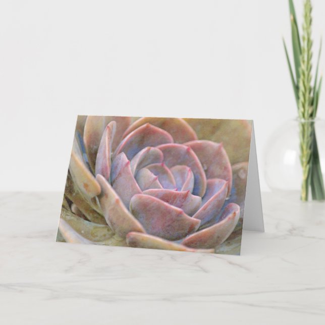 Jolie Echeveria Cactus Succulente carte de note d' (Devant)
