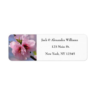 Jolie fleur de cerisier rose Chic Adresse de retou
