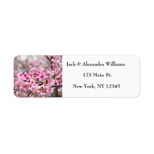 Jolie fleur de cerisier rose rustique Adresse de r
