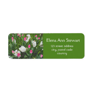 Jolie fleurs de jardin rose et blanc