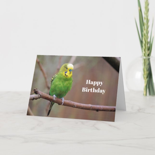 Jolie Green Budgie photo carte d'anniversaire (Devant)