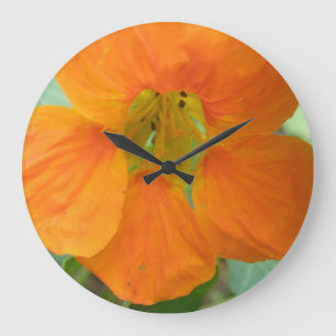 Jolie horloge murale orange Nasturtium
