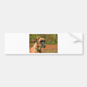 Jolie in the woods bumper sticker