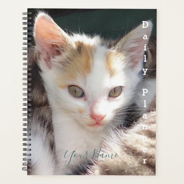 Jolie Kitty - Planificateur quotidien - HAMbWG (Devant)