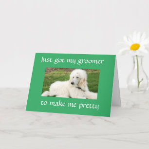 JOLIE "POODLE" DIT "HEUREUSE CARTE D'ANNIVERSAIRE"