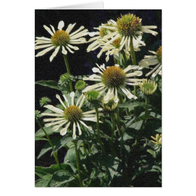 Jolies fleurs (Devant)