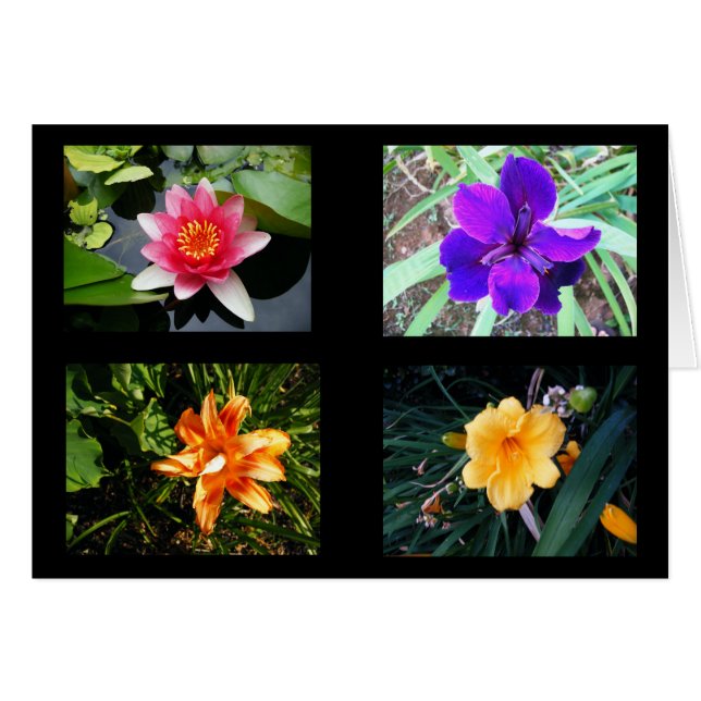 Jolies fleurs, vides (Devant horizontal)