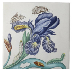 jolies fleurs vintages et insectes carreaux en cér