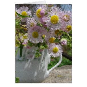 Jolies mauvaises herbes