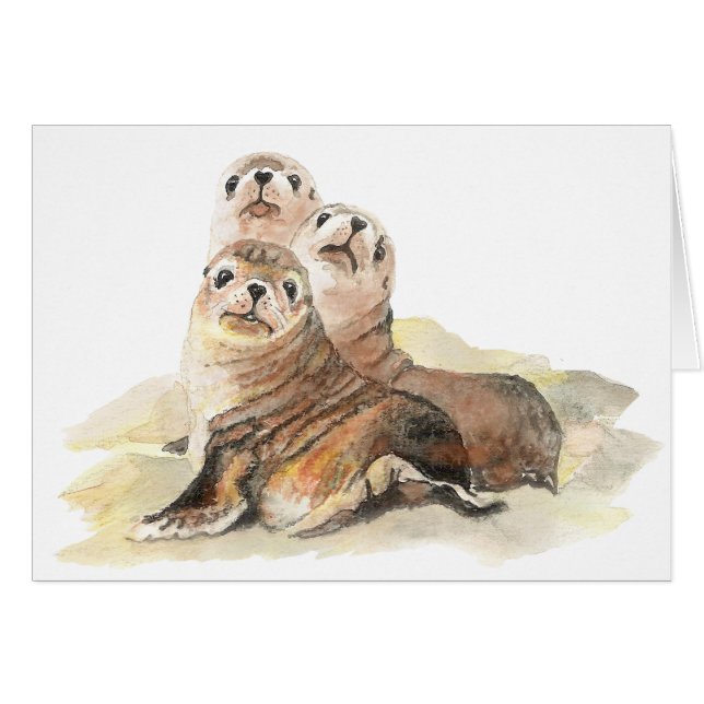 Jolies Phoques Curieux, Aquarelles (Devant horizontal)