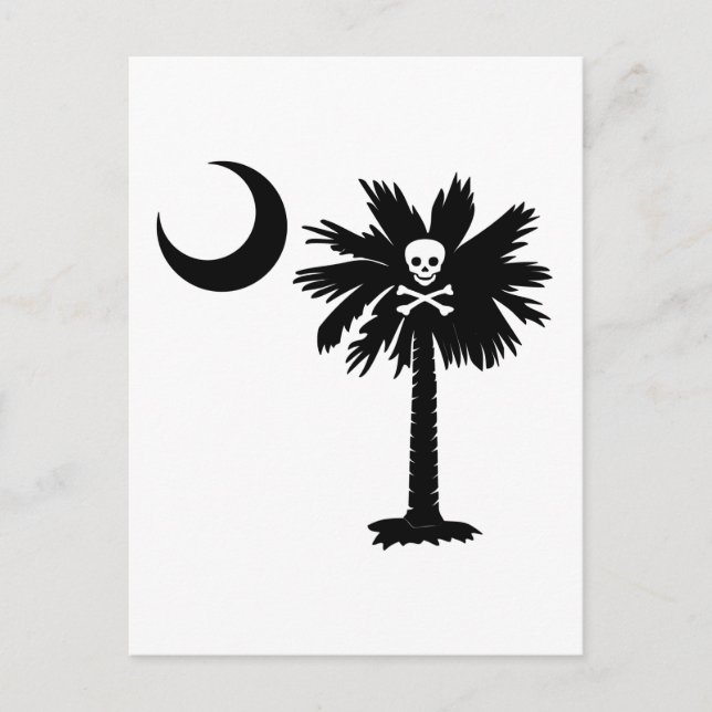 Jolly Roger Pirate Palmetto Postcard (Front)
