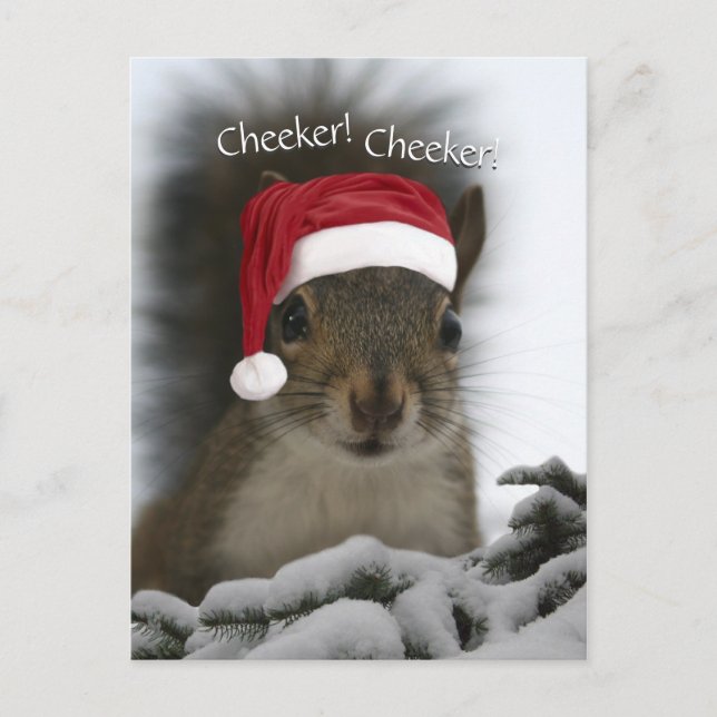 Jolly Squirrel Wearing Santa Hat • Santa Squirrel Holiday Postcard (Front)