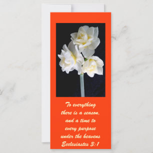 Jonquil Flower - Ecclesiastes 3:1