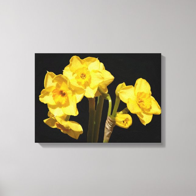 Jonquil Flowers Canvas Print (Front)