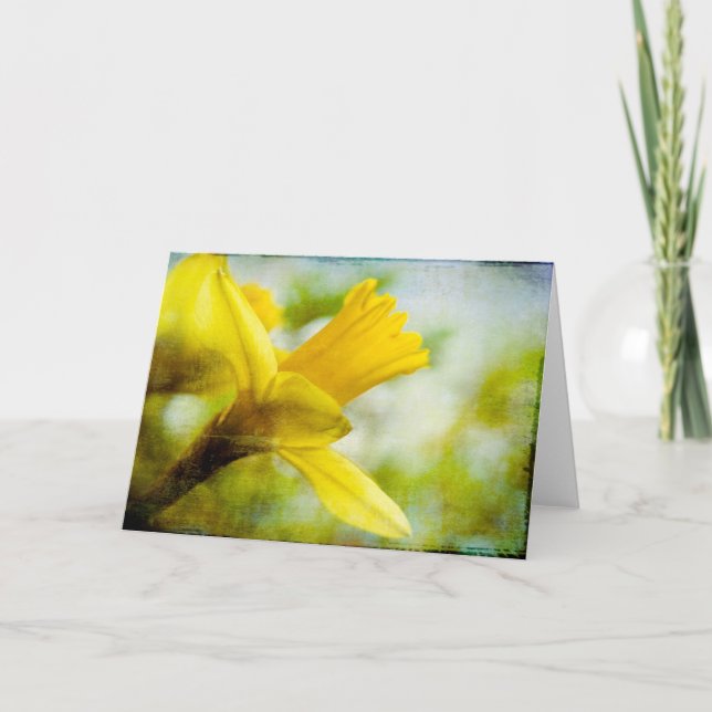 Jonquille • Carte de voeux (Devant)