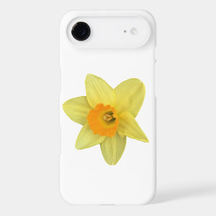 Jonquille de printemps jaune