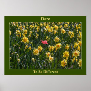 Jonquilles Dare To Be Different Affiche
