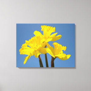 Jonquilles de printemps Impressions de toile flora