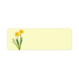 Jonquilles jaunes de ressort - modèle de jonquill