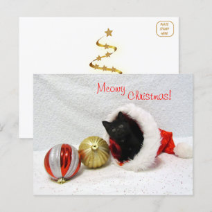 Joon's Christmas - Chat / Carte postale Kitten