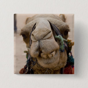 Jordan, Ancient Nabataean city of Petra 2 Inch Square Button