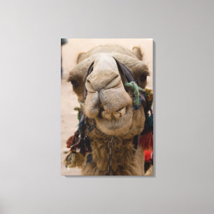 Jordan, Ancient Nabataean city of Petra Canvas Print