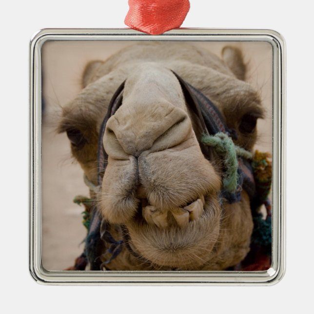Jordan, Ancient Nabataean city of Petra Metal Ornament (Front)