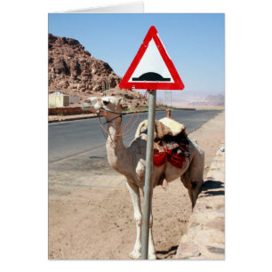 jordan camel stop