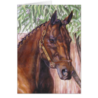 "Jordan Jack" equine card