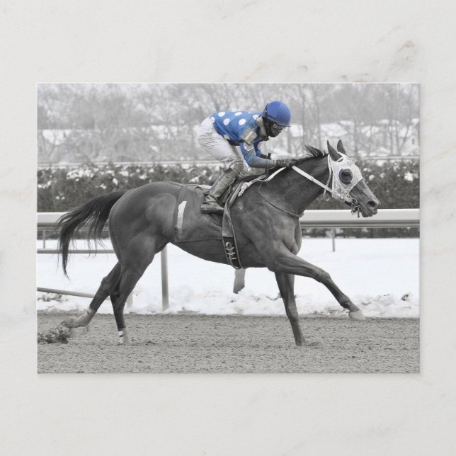 Jose Lezcano on Mo Flash Postcard (Front)