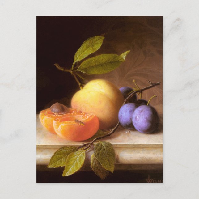 Joseph Peter Wilms - Peaches and Plums Postcard (Front)