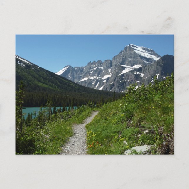 Josephine Lake Trail with Mount Guild at Glacier Postcard (Front)