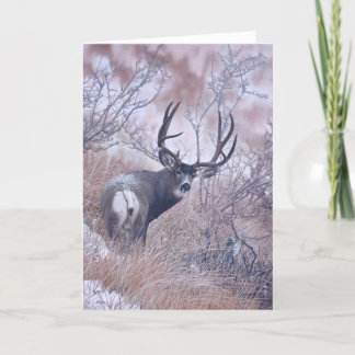 Joshua remarque la carte de note