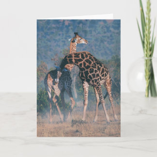 Joshua Spies Note Card