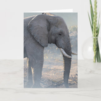 Joshua Spies Note Card