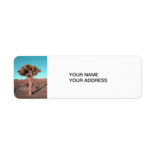 Joshua Tree