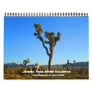 Joshua Tree 2022 Par Julia Hanna Calendrier