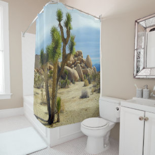 Joshua Tree, Desert Landscape